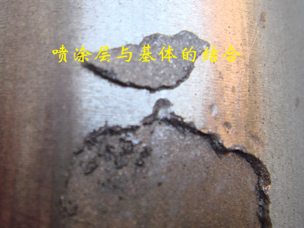 3文章5.png